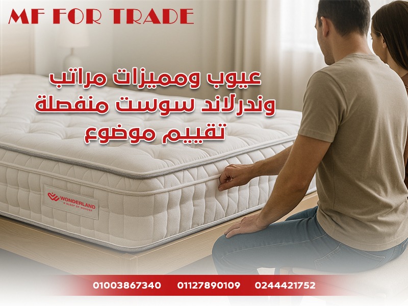 عيوب ومميزات مراتب وندرلاند سوست منفصلة: تقييم موضوعي